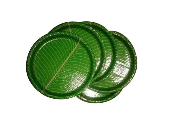 Geetha Enterprises